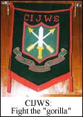 CIJWS: Fight the gorilla