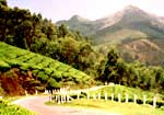 Munnar